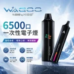 KIS5 & 哇酷/WAGOO 聯名款 KIS5 & 哇酷/WAGOO聯名款 一次性電子煙 6500口 12種口味