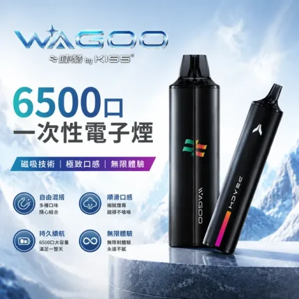 KIS5 & 哇酷/WAGOO 聯名款 KIS5 & 哇酷/WAGOO聯名款 一次性電子煙 6500口 12種口味