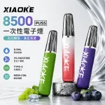 XIAOKE/梟客 梟客XIAOKE一次性電子煙 8500口 20種口味