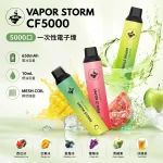 VAPOR STORM 風暴一次性電子煙 5000口 13種口味